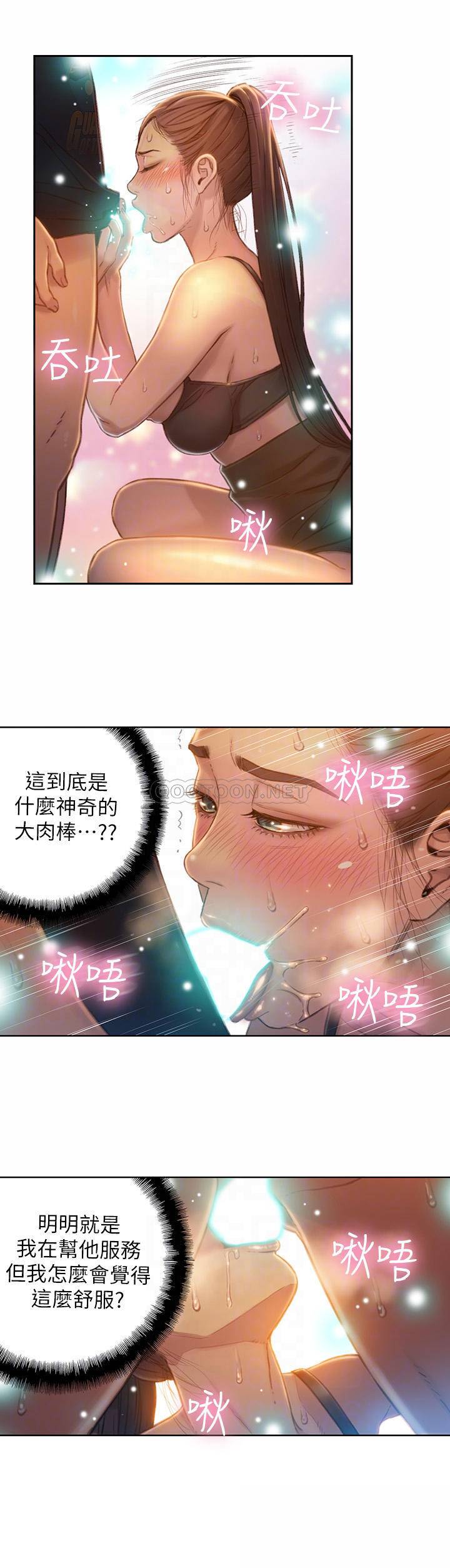 超导体鲁蛇