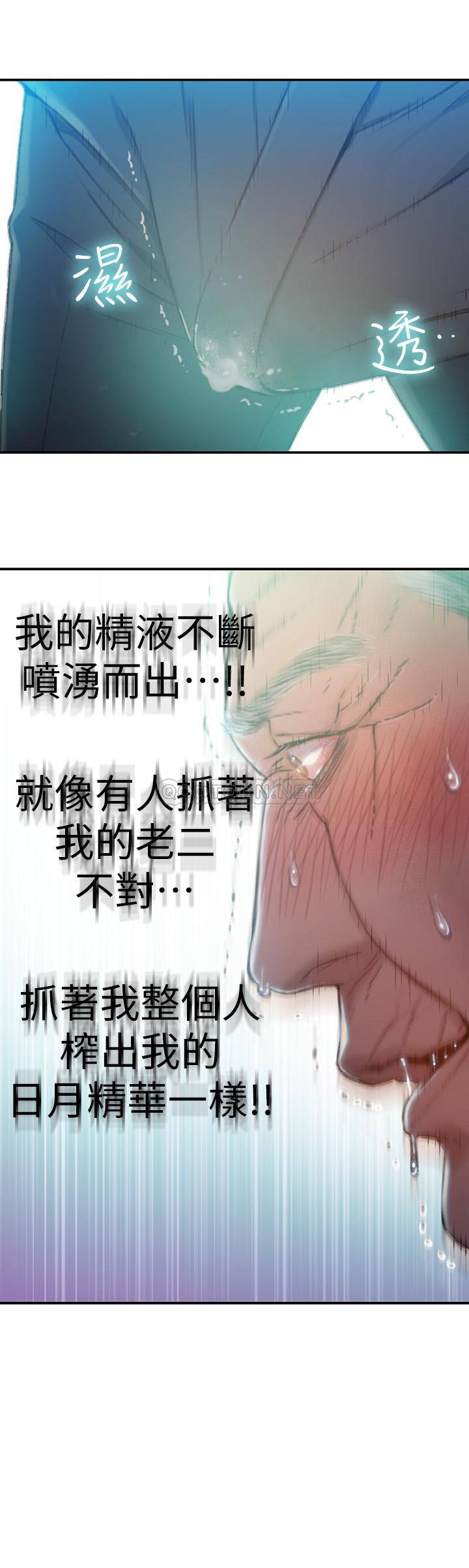 超导体鲁蛇