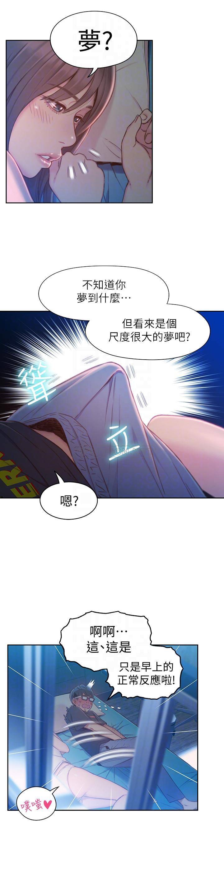 超导体鲁蛇