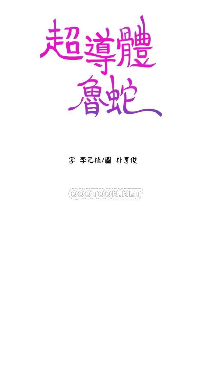 超导体鲁蛇