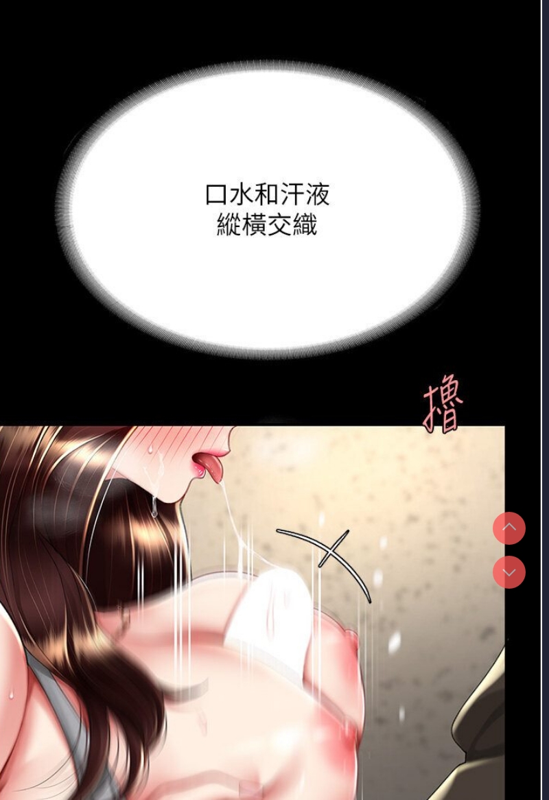 复仇母女丼