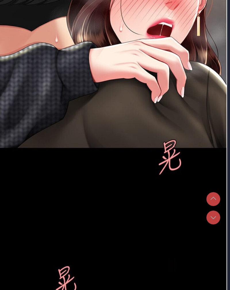 复仇母女丼