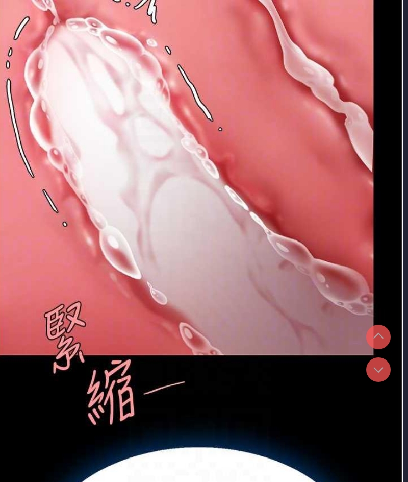 复仇母女丼