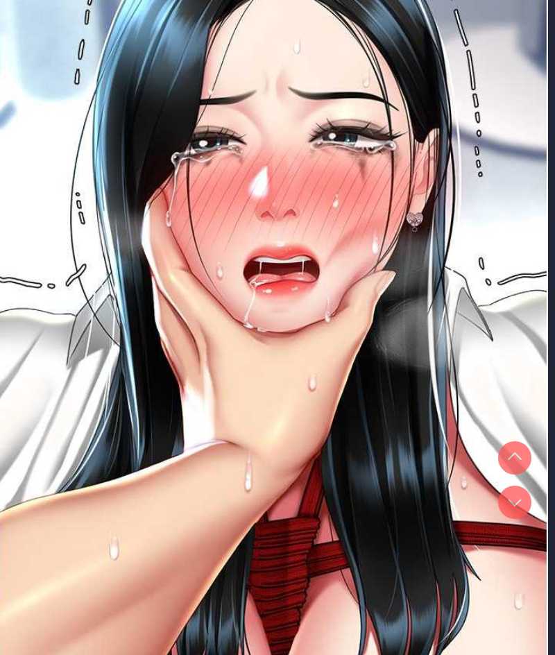 复仇母女丼