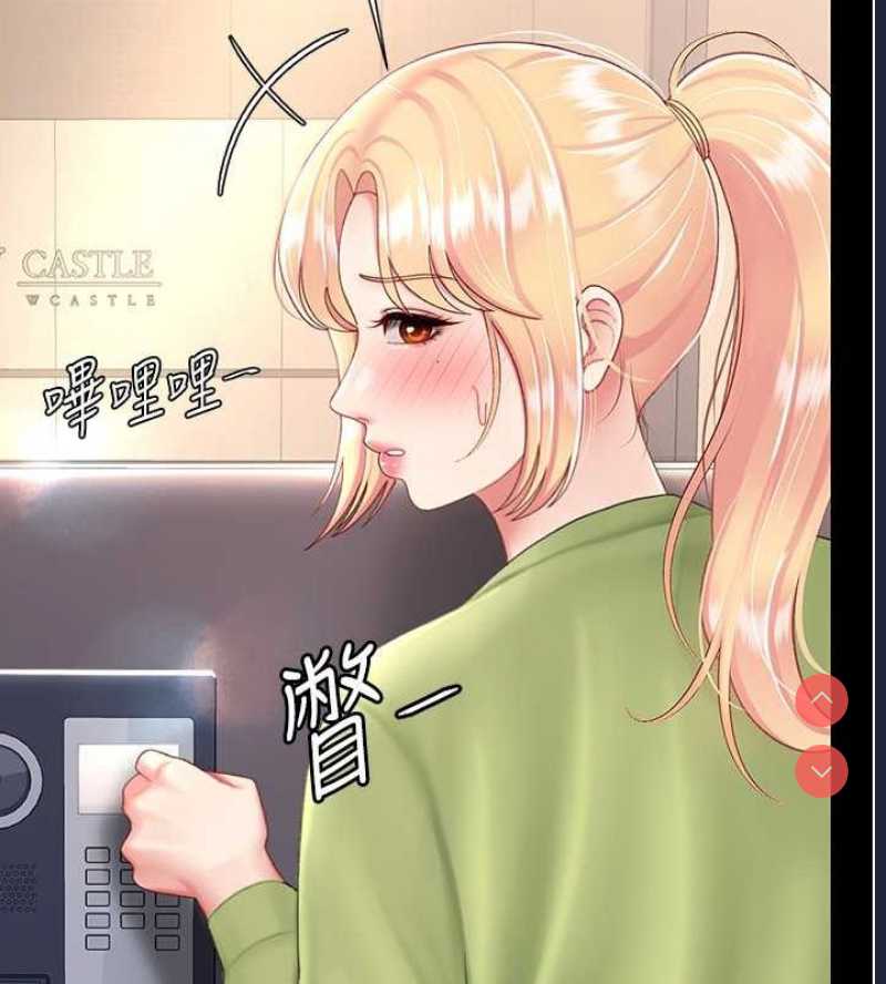 复仇母女丼