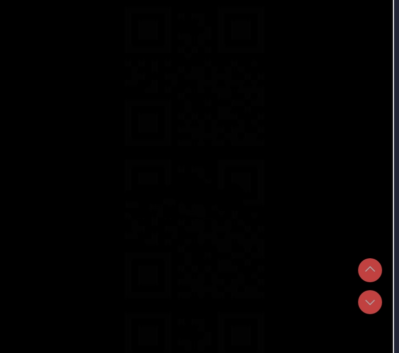 复仇母女丼
