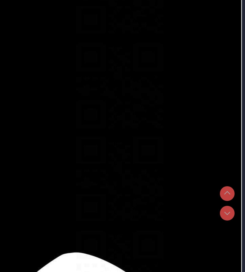 复仇母女丼