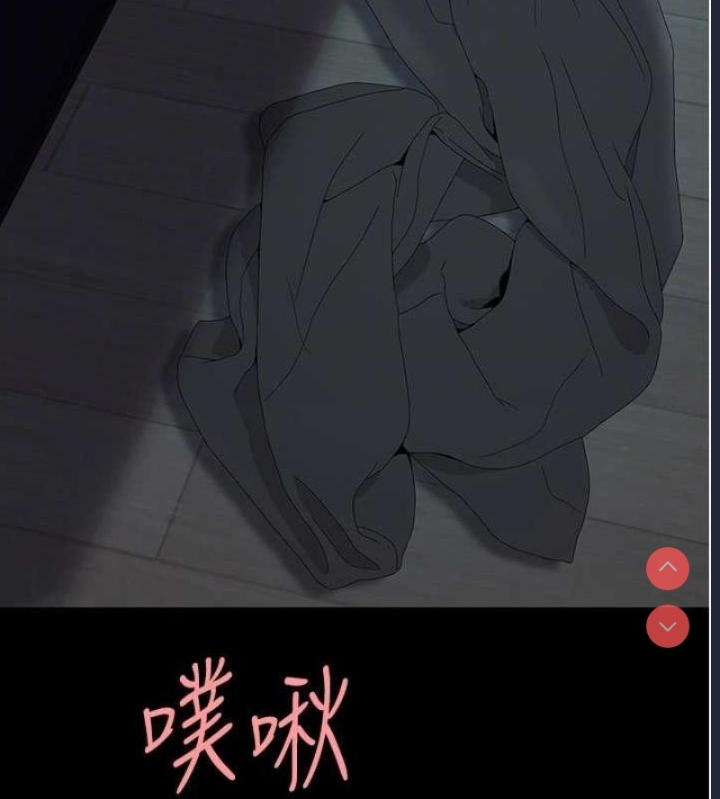 复仇母女丼
