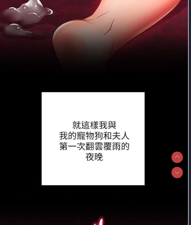 射雕英雄传：一捅天下