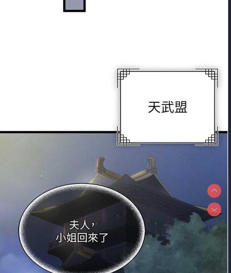 射雕英雄传：一捅天下