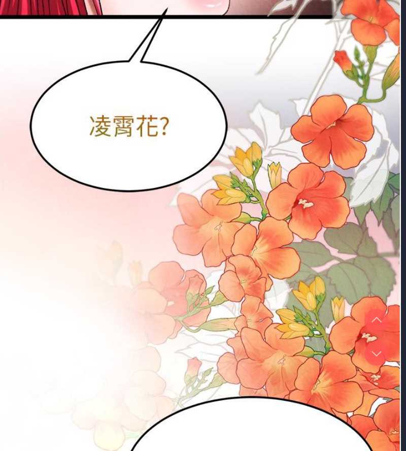 射雕英雄传：一捅天下