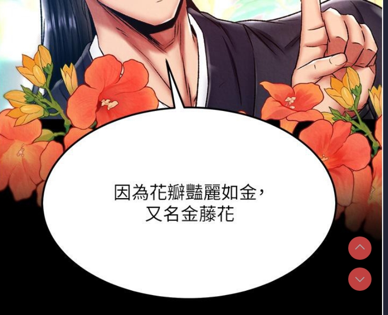 射雕英雄传：一捅天下