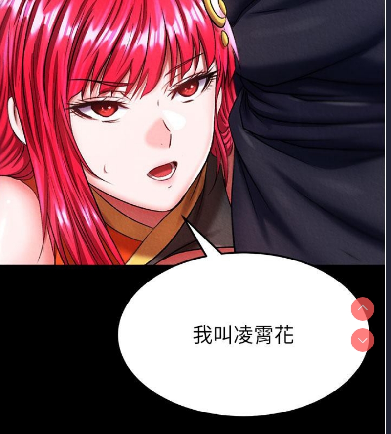 射雕英雄传：一捅天下