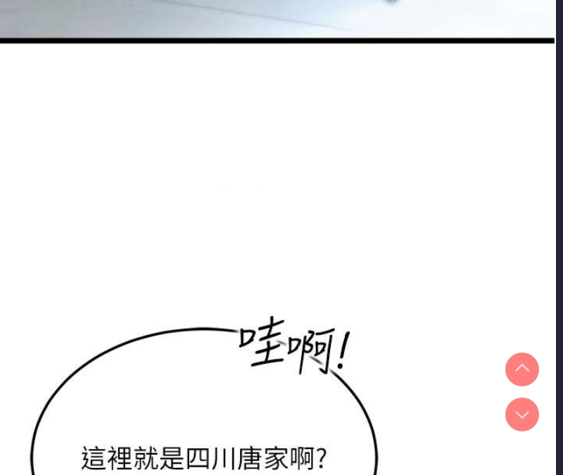 射雕英雄传：一捅天下