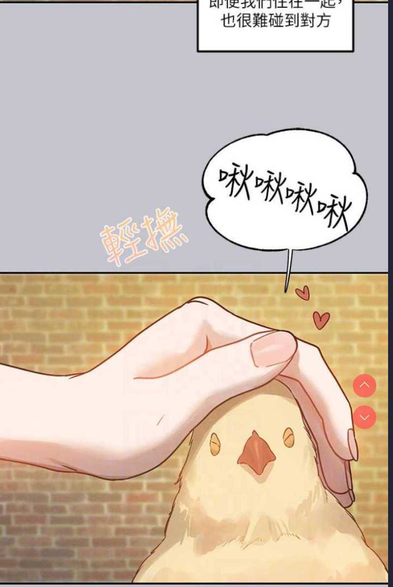 富家女姐姐