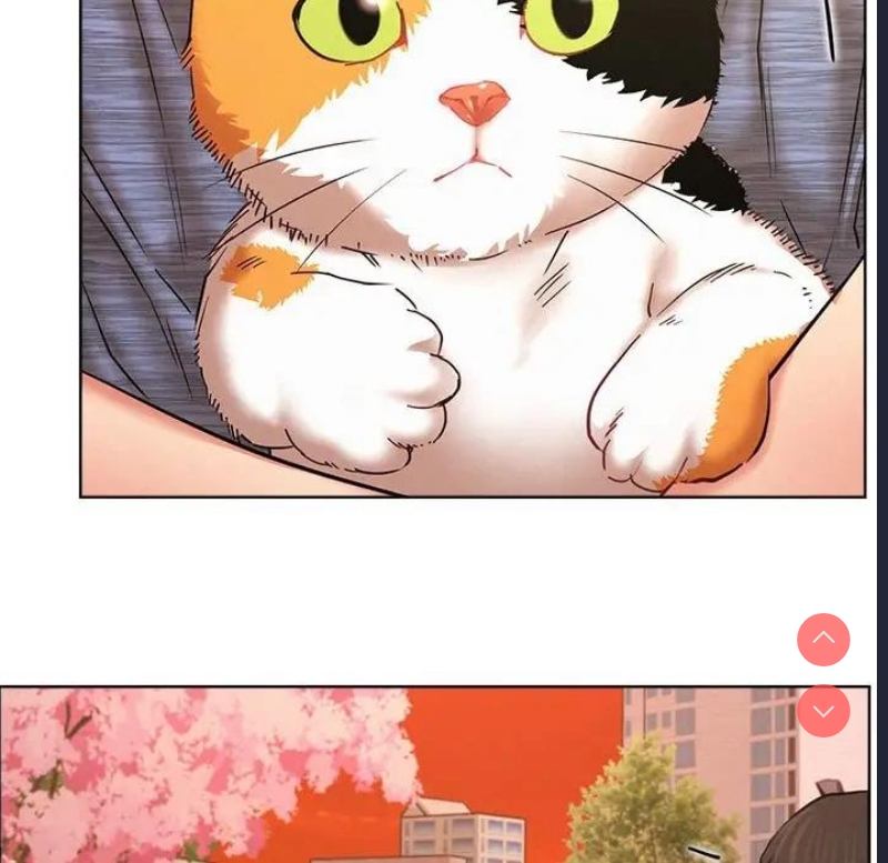 屋檐下的光