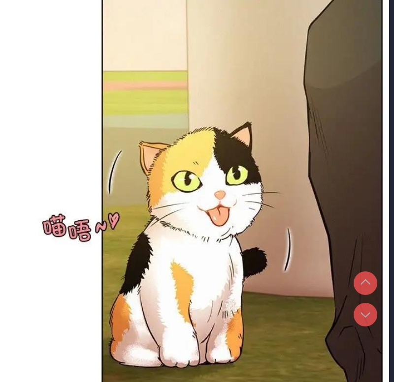 屋檐下的光