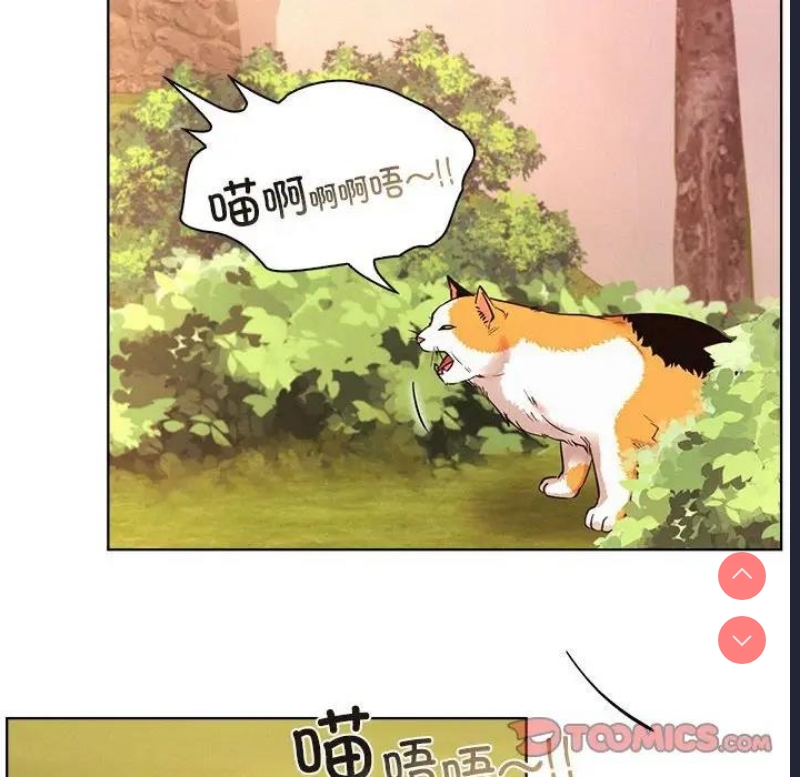 屋檐下的光