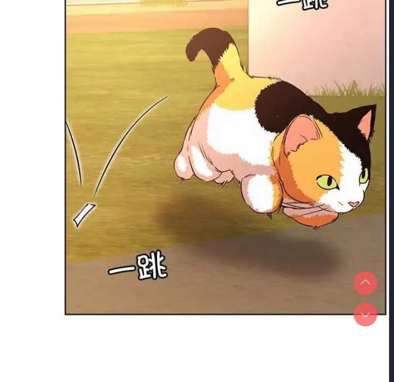 屋檐下的光