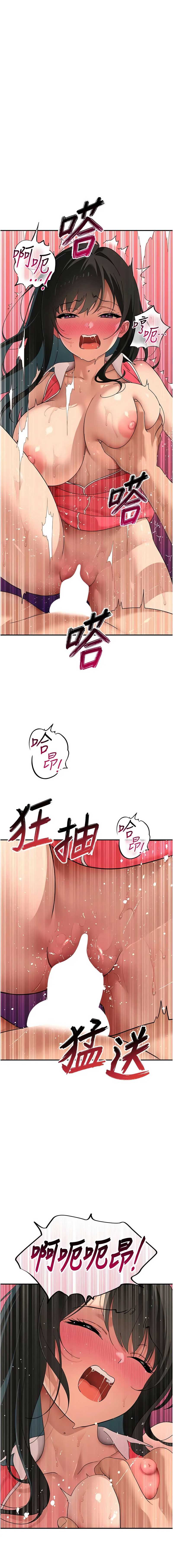 斯文坏猫猫