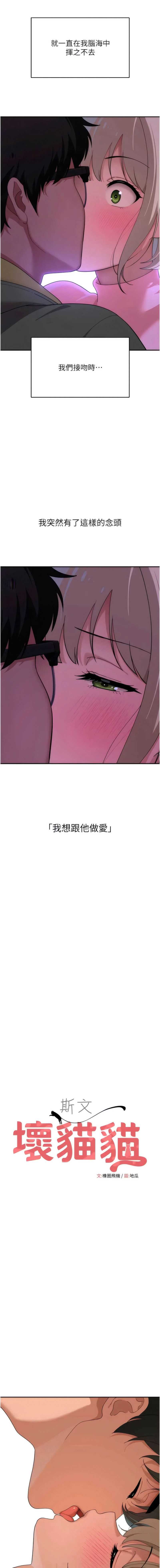 斯文坏猫猫