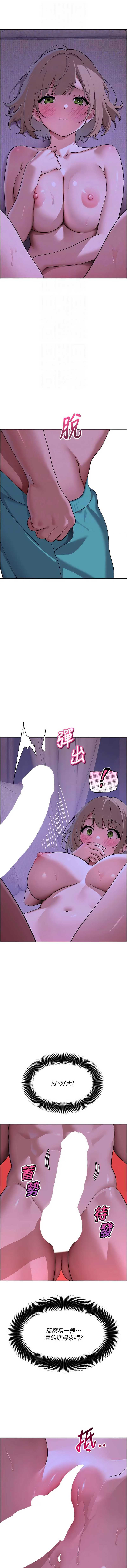 斯文坏猫猫