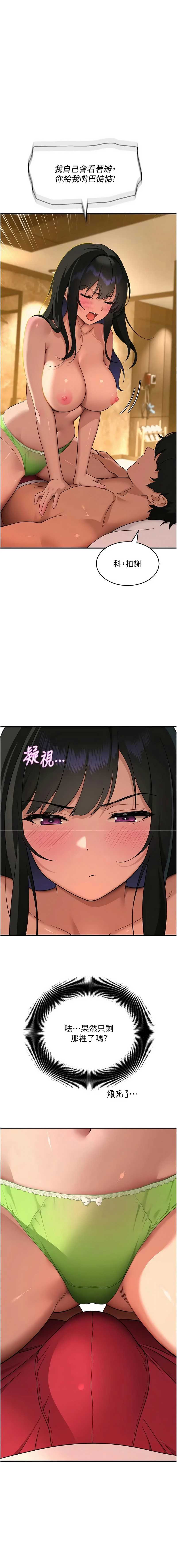 斯文坏猫猫