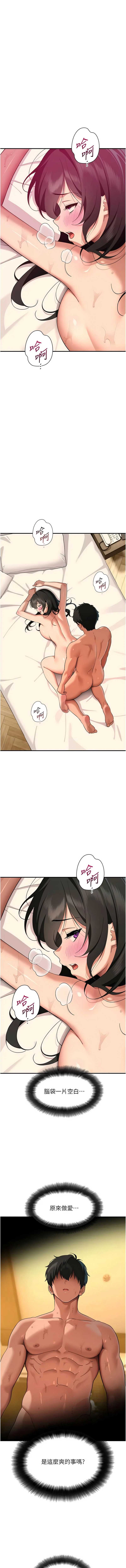 斯文坏猫猫