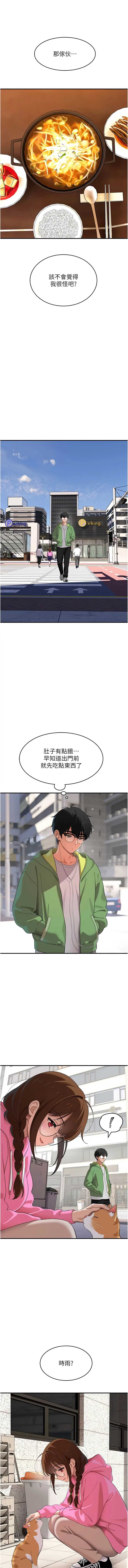 斯文坏猫猫