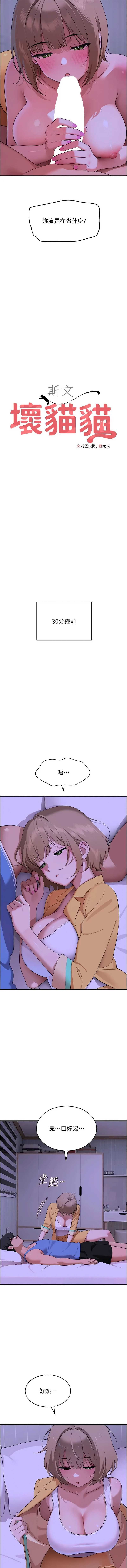 斯文坏猫猫