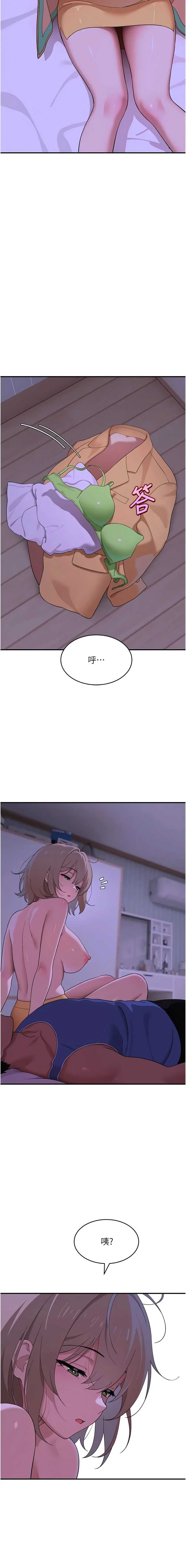 斯文坏猫猫