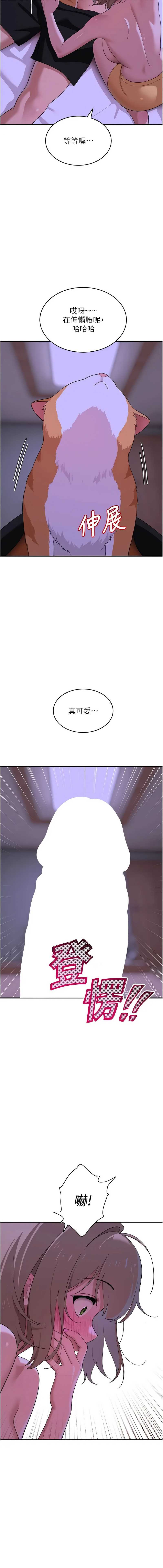 斯文坏猫猫