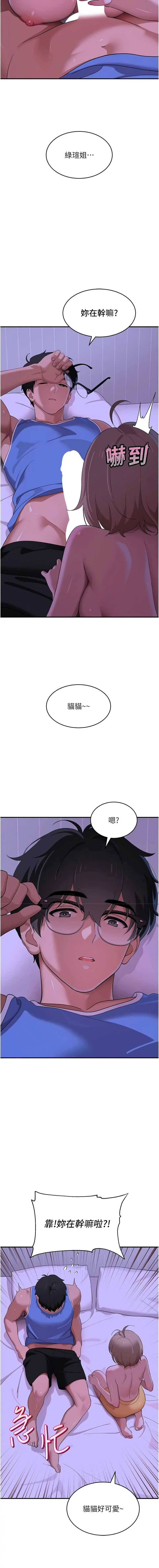 斯文坏猫猫