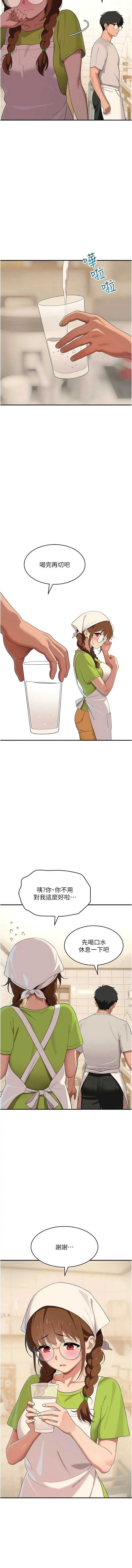 斯文坏猫猫