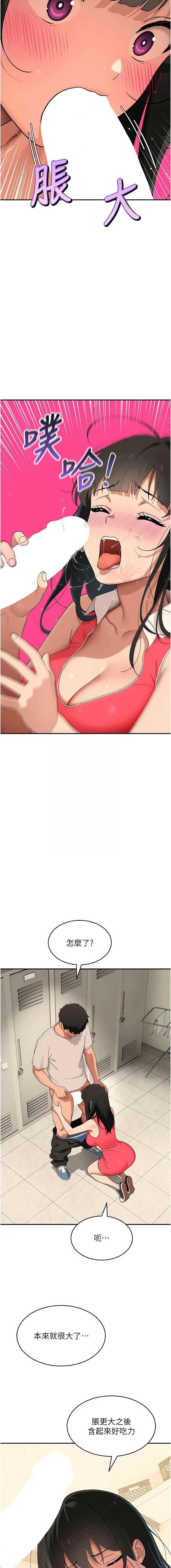斯文坏猫猫