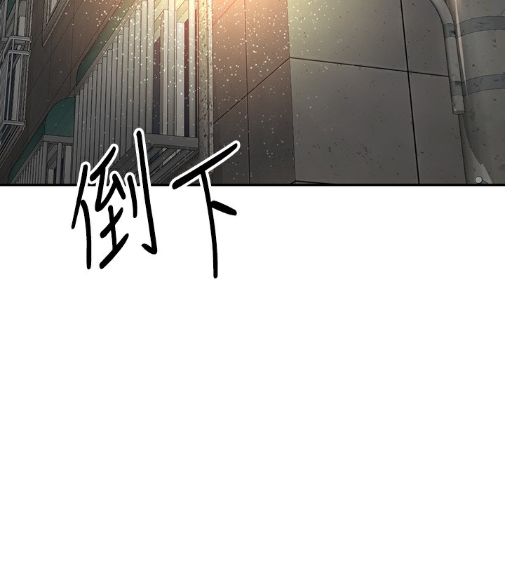顶加套房的春天