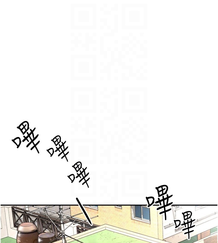 顶加套房的春天