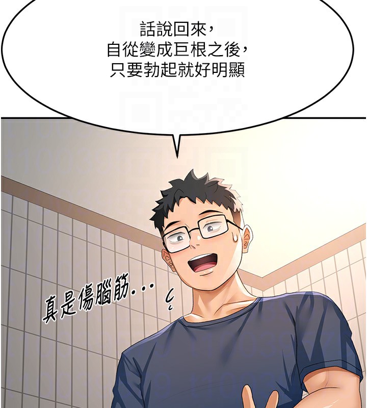 顶加套房的春天