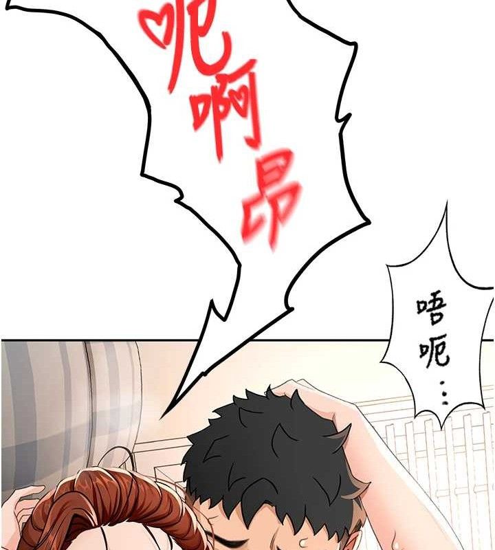 顶加套房的春天