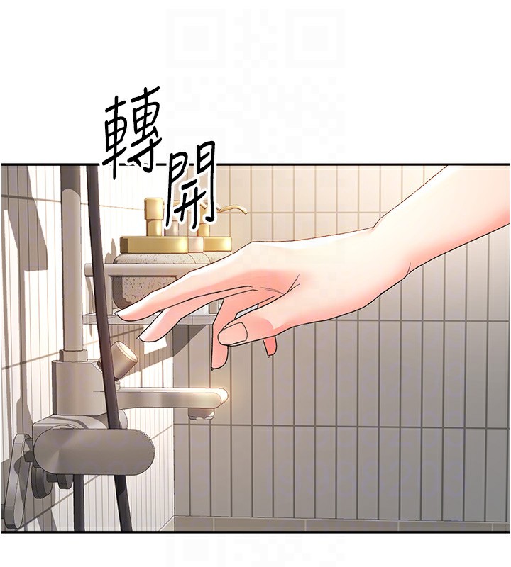 顶加套房的春天