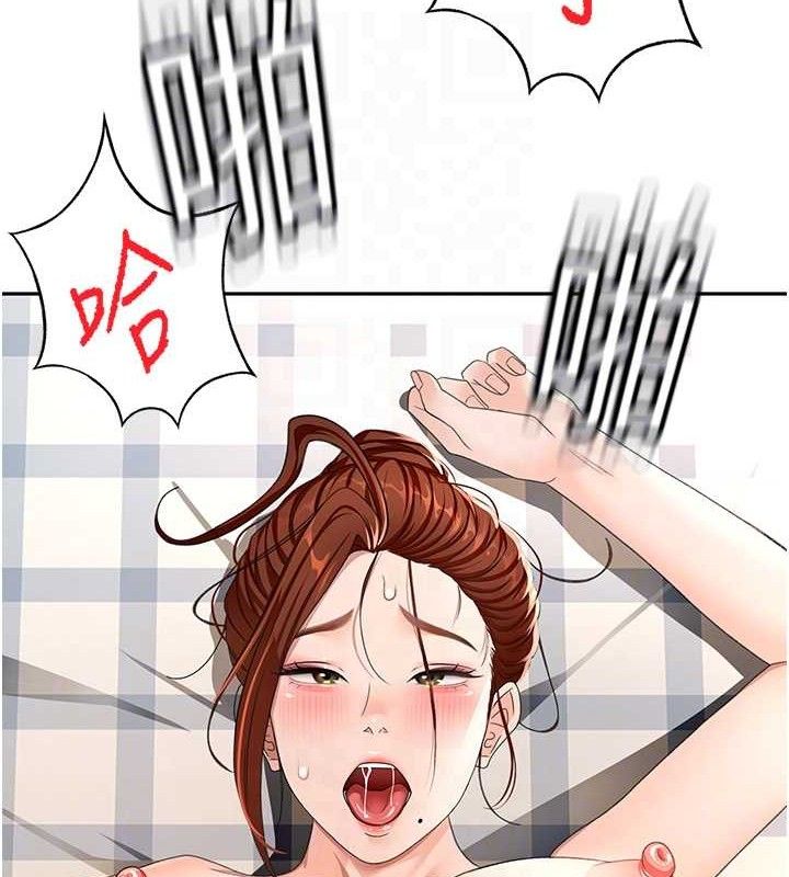 顶加套房的春天