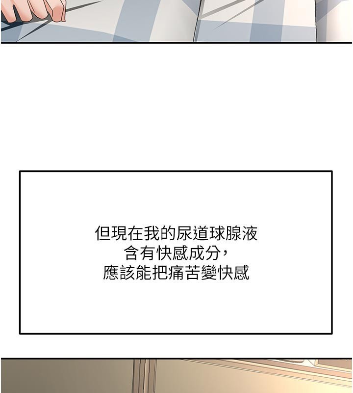 顶加套房的春天