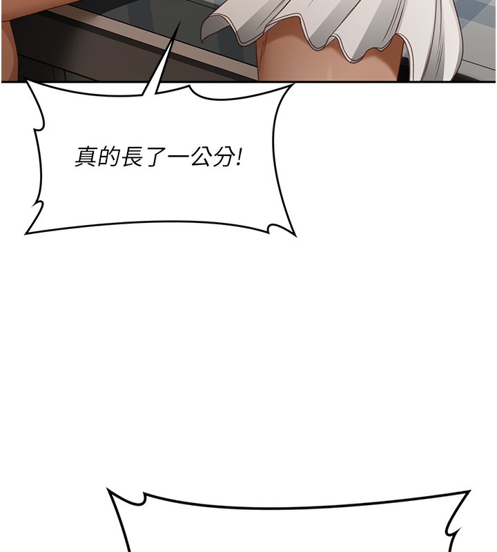 顶加套房的春天