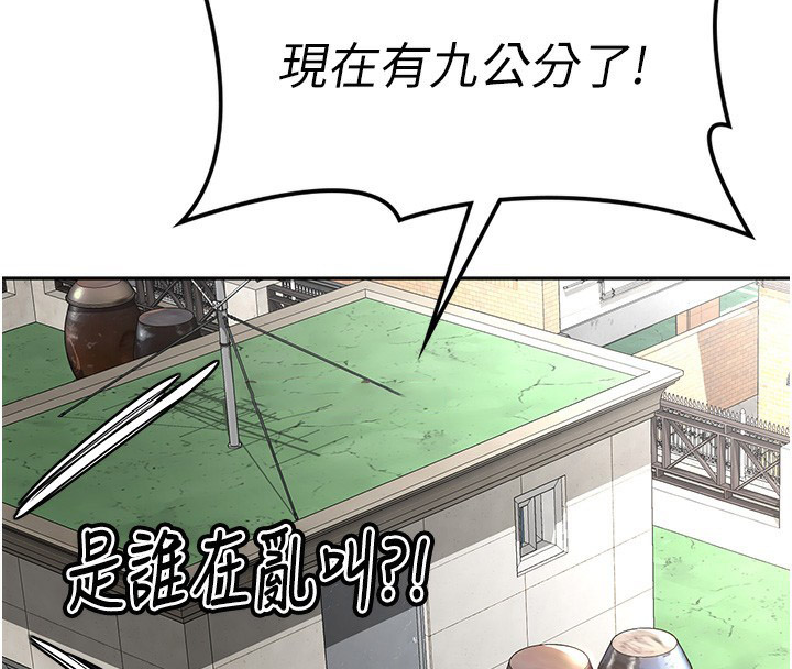 顶加套房的春天