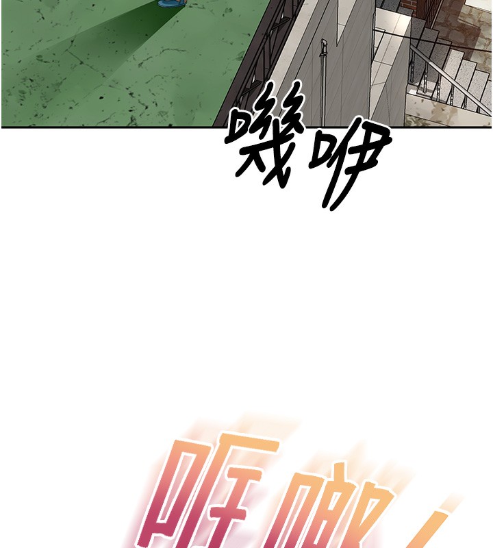 顶加套房的春天