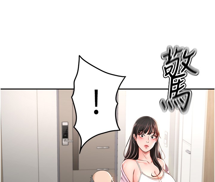 顶加套房的春天
