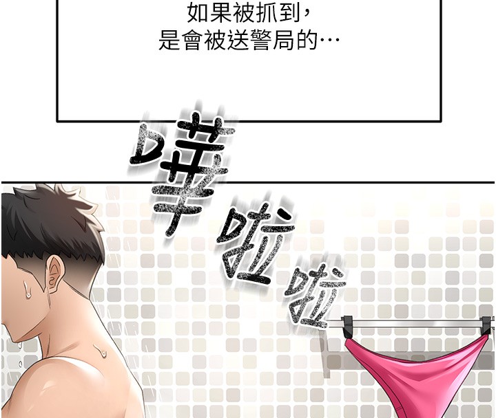 顶加套房的春天