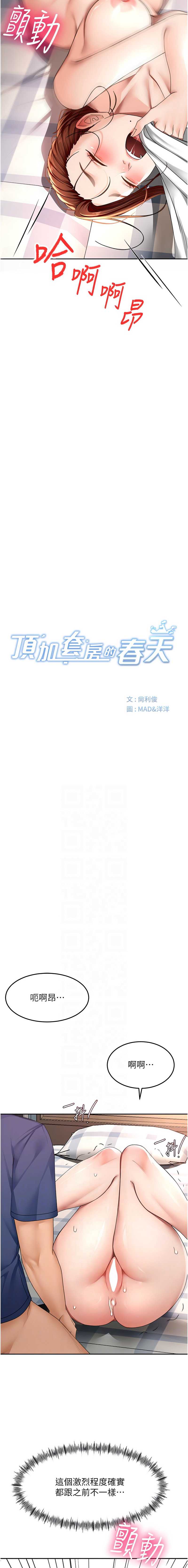 顶加套房的春天