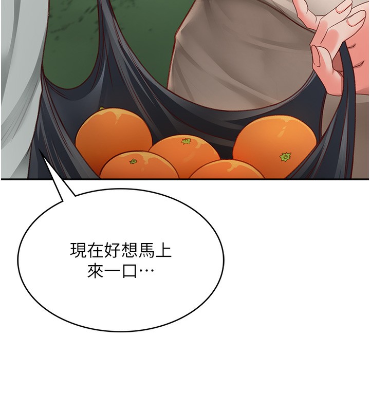 顶加套房的春天