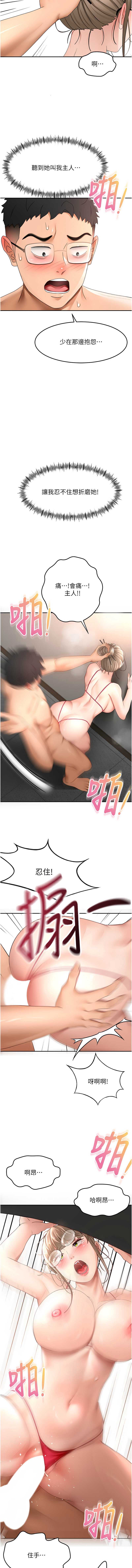 顶加套房的春天